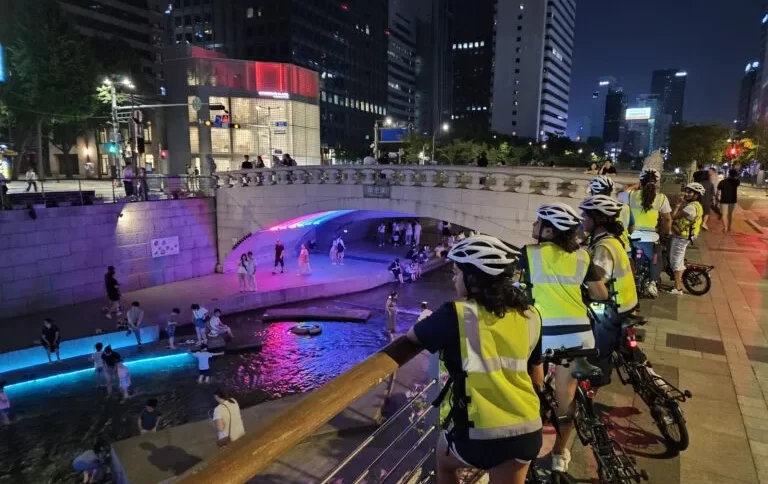 Evening e-bike tour Seoul