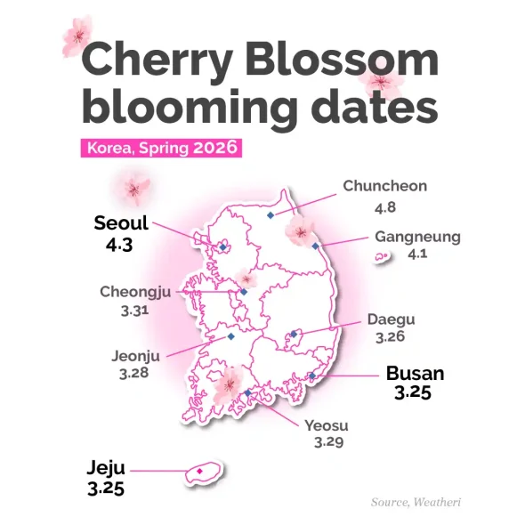 Map showing cherry blossom blooming dates across South Korea including Seoul, Busan, and Jeju.